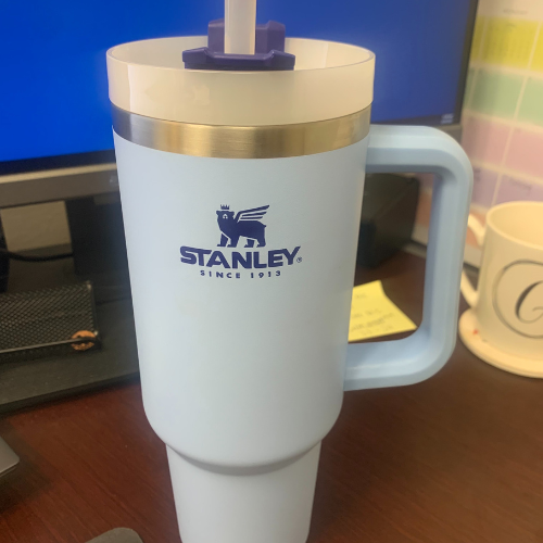 What is Stanley & Why is it Popular? - at Household